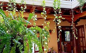 Hotel Casa Sofia